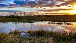 The Ultimate Everglades National Park Travel Guide Outside Online