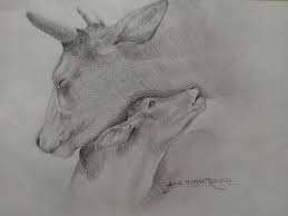 Pin By Pookie Jones On Drawing Animals Animals Animal Drawings Animal Tattoo