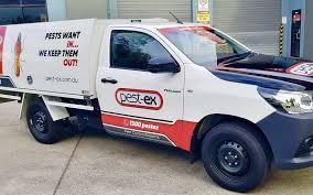 Government laws, legislations, and politics. Sunshine Coast Pest Control Termite Treatment Services Pest Ex