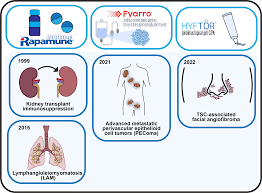 Image result for Sirolimus