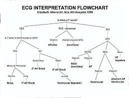 Ecg Interpretation Flow Chart Ekg Interpretation Critical