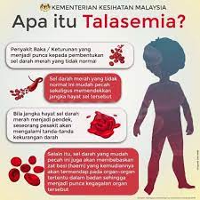 Kelainan ini membuat penderitanya mengalami anemia atau kurang darah. Vitamin Untuk Talasemia Fatimah Vitamin