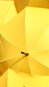 Landscape Yellow Aesthetic Landscape Yellow In 2020 Yellow Aesthetic Yellow Aesthetic Pastel Pastel Yellow
