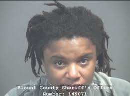 BLOUNT COUNTY- *can someone check