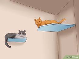The best way to get your cats to get along together, is to identify the cause! How To Encourage Multiple Cats To Get Along With Each Other