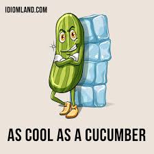 Hello People The Idiom Of The Day Is Cool As A Cucumber Which Means Very Calm And Confident This Phrase May Have Idioms English Idioms Learn English