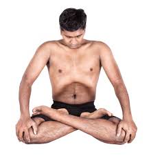 Image result for bahya pranayam