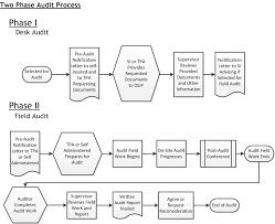 Utilization Review Process Flowchart