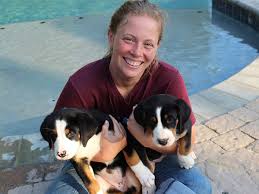 In general, the newfy is a relatively healthy dog breed. Cherished Gsmd About Us