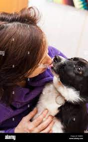 Woman kiss dog tongue hi-res stock photography and images - Alamy