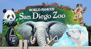 San Diego Zoo Attraction Action San Diego Travel Blog