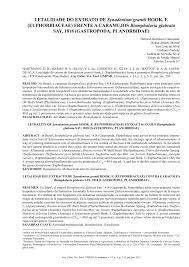 Image result for Synadenium glabratum