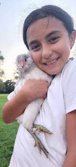 Raising mixed age chicks with care