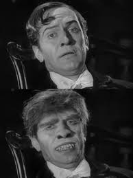 Pin by Michael Seibert