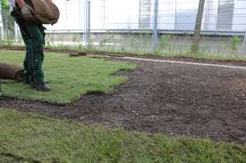 So schnell wie möglich beschreibung: Unebener Rasen So Konnen Sie Ihn Begradigen Gartendialog De
