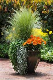 Available wholesale online, with free delivery. 28 Best Tall Outdoor Planters Ideas Garden Containers Container Plants Outdoor Planters
