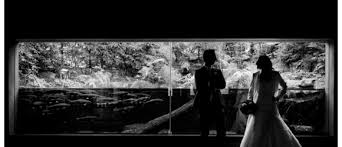 Während der hauptsaison von mai bis september stehe ich euch als hochzeitsfotograf in stuttgart und umgebung am wochenende für reportagen ab 8 stunden zur verfügung. Heiraten In Stuttgart Hochzeit Wilhelma After Wedding Jap Fotografie