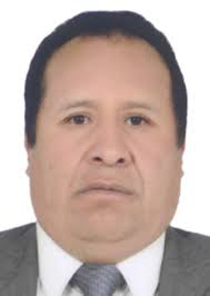 Ingresos de Otorongos Elecciones 2022