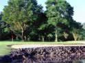 North Carolina Amateur Championship