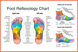 treatment tuesday reflexology salus massage therapy