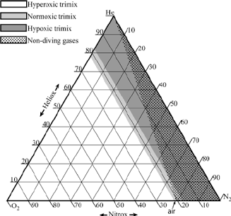 Standardized vertex layouts ensure consistency across gas blending charts, AI generated