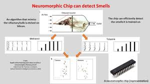Gender equality in preparedness and humanitarian action. Thomas Cleland Professor Cornell University Linkedin