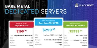 Unmetered Dedicated Servers | BlackHOST