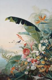 About Sign Up Log In Jobs Blog Twitter Facebook Google Rss Discover Everything Popular Random Jr Digital Designer Art Botanical Illustration Botanical Art