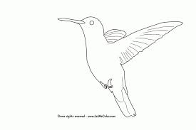 Humming bird, beautiful coloring page with border full of plant motifs to be colored. Hummingbird Coloring Page Coloring Home