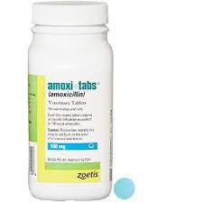 Amoxi Tabs 100mg 500 Tabs On Sale Entirelypets Rx