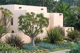 There are two big shifts in southern californian gardening: Exceptional California Gardens 12 Southern California Garden Ideas California Garden Garden Outdoor