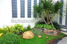 Selain desain taman anda juga dapat menambahkan kolam ikan di halaman depan rumah sehingga menambah asri suasana dari gemericik air kolam. 17 Tanaman Yang Bagus Ditanam Di Depan Rumah Tukang Taman Surabaya Jasa Taman Surabaya