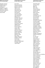 Image result for Chamaecrista wittei