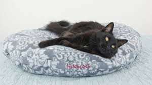 20 fun and easy diy cat toys that kitties can't resist. How To Sew A Fleece Pet Bed Dog Or Cat Youtube