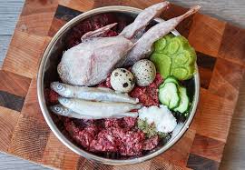 Many dogs with diabetes have increased thirst and increased urination, so fresh, clean water should be available at all times. Homemade Raw Dog Food A Complete And Balanced Raw Diet For Your Dog
