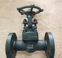 OEM Industrial Forged A105 3/4inch 600lb Rtj Flange Gate Valve