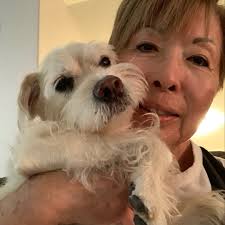 Lost Dog Found in Clearfield, Utah,