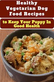 Healthy Vegetarian Dog Food Recipes To Keep Your Puppy In Good Health Vegetariandogfoodrecipes He Vegetarian Dog Food Recipe Vegan Dog Food Dog Food Recipes