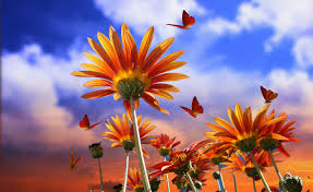 Maybe you would like to learn more about one of these? Artistic Flower Butterfly Orange Flower Wallpaper Resolution 3184x1949 Id 134678 Wallha Com