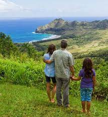 The Descendants Os Descendentes Descendentes Shailene Woodley