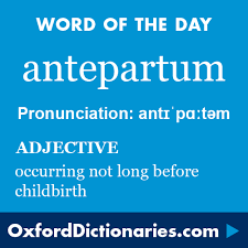 Pin On World Of Words