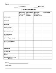 Check spelling or type a new query. Https S3 Amazonaws Com Scschoolfiles 631 Cell Project Info And Rubric 1 Pdf