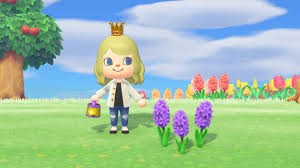 Animal Crossing New Horizons How To Get Purple Hyacinths