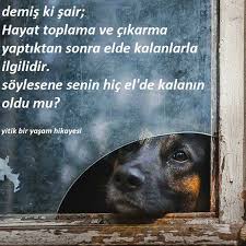 Rozalya Adli Kullanicinin Quotes Panosundaki Pin Hayat Galeri Sair