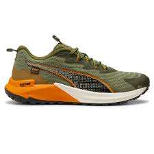Image result for Pacific Green 2002 Puma