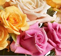 Join over 7 million satisfied customers. Choose Flowers To Match Your Mom S Personality Teleflora