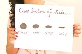 What Makes Curly Hair Curly Or Straight Hair Straight Curlsandbeautydiary Straight Hairstyles Curly Hair Styles Curly