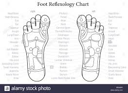 Foot Reflexology Chart With Accurate Description Of The
