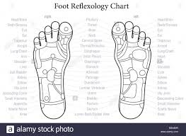 foot reflexology chart with accurate description of the