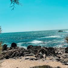 There are approximately 40 green spaces nearby for residents to unwind in, including veterans parkway and polliwog park, which makes them very easy to get to. Kinderfreundliches Restaurant In Porto Recommended By The Urban Kids